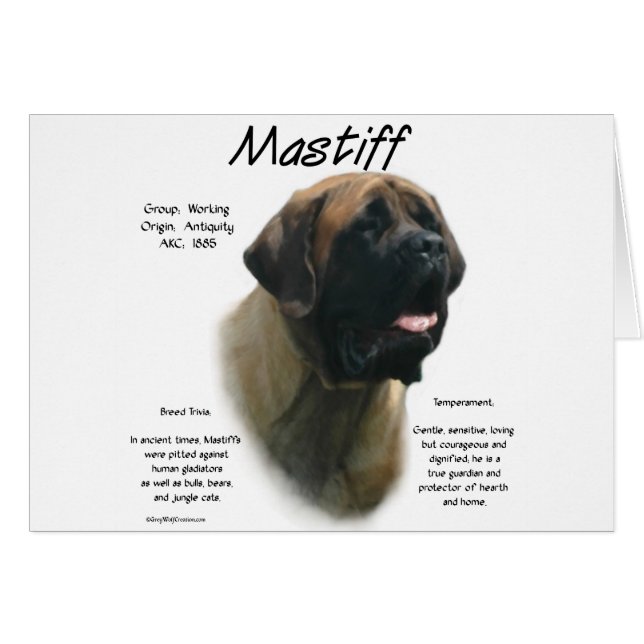 Apricot Mastiff Historik Hälsningskort (Framsidan Horizontal)