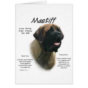 Apricot Mastiff Historik Hälsningskort