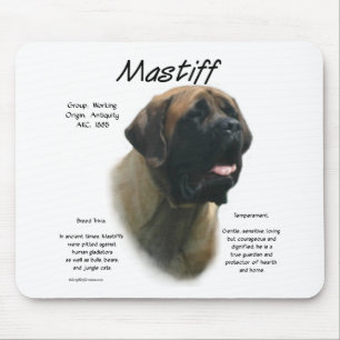 Apricot Mastiff Historik Musmatta
