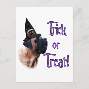 Apricot Mastiff Trick-vykort Vykort