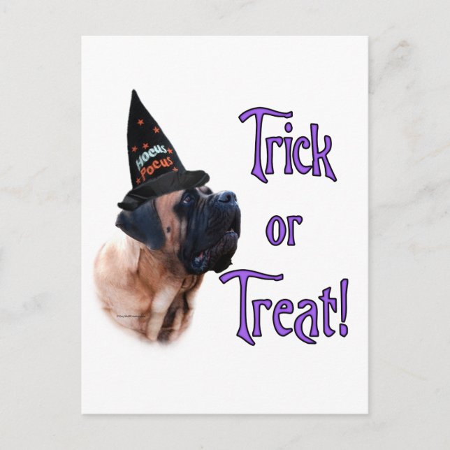 Apricot Mastiff Trick-vykort Vykort (Framsida)