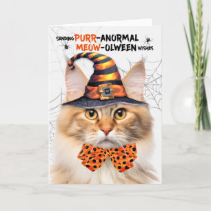 Apricot Norway Forest PURRanormal MEOWolween Helgkort