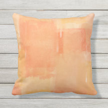 Apricot Paint Test Utomhus Kudd 16x16