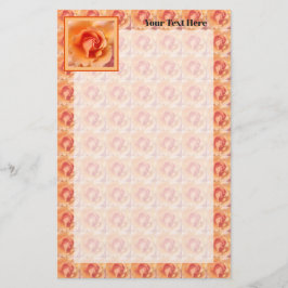 Apricot Peach Ro Flower Close Photo Design Brevpapper
