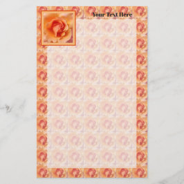 Apricot Peach Ro Flower Close Photo Design Brevpapper