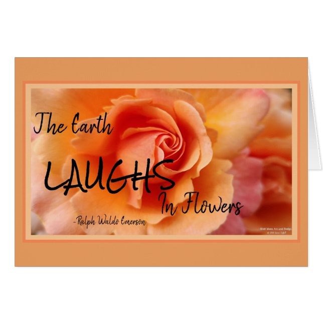 Apricot Peach Ro Flower Close Photo Hälsningskort (Framsidan Horizontal)