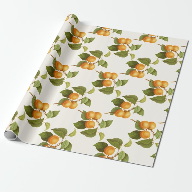 Apricot Presentpapper (Utrullad)