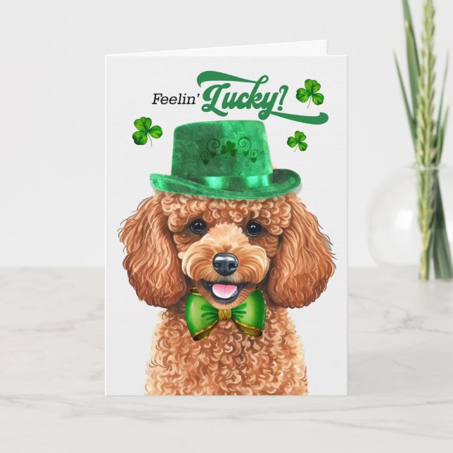 Apricot Pudel Hund Feelin' Lucky St patrick's day Helgkort (Framsida)