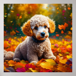 Apricot Pudel Puppy i Höst löv Poster