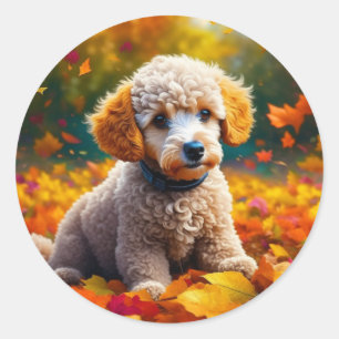 Apricot Pudel Puppy i Höst löv Runt Klistermärke