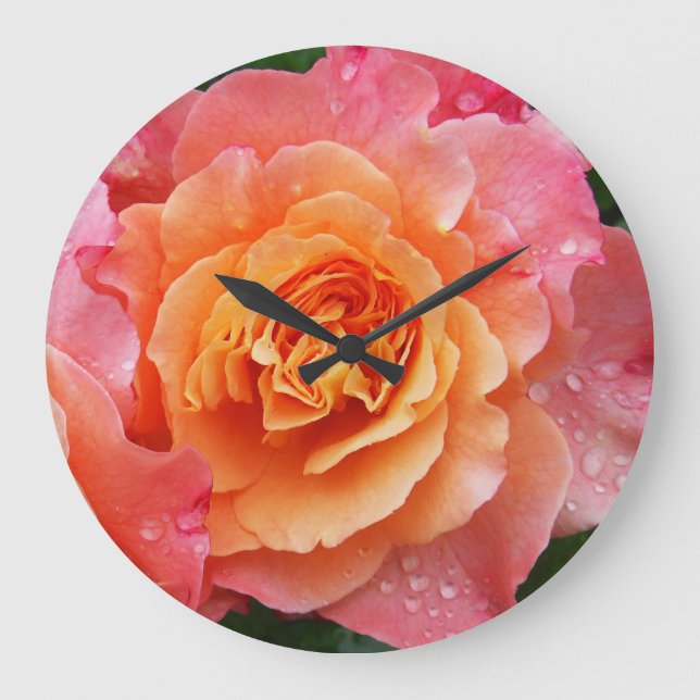 Apricot Rosa ros Stor Klocka (Framsida)