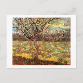 Apricot Träd i Blommar av Van Gogh Vykort