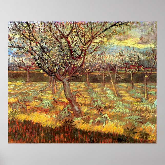 Apricot Träd i Blommar av Vincent van Gogh Poster (Framsidan)