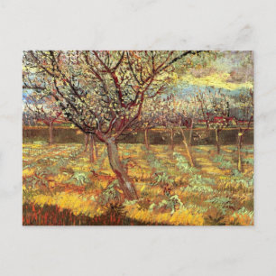 Apricot Träd i Blommar av Vincent van Gogh Vykort