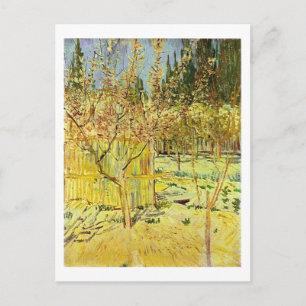 Apricot Träd i Blommar, Van Gogh Fine Art Vykort