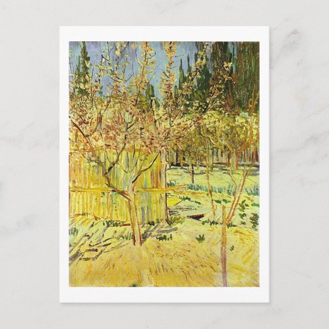 Apricot Träd i Blommar, Van Gogh Fine Art Vykort (Framsida)