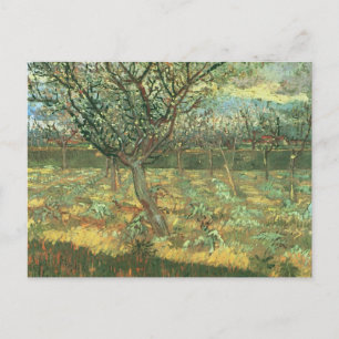 Apricot Träd i Blommar, Vincent van Gogh Vykort
