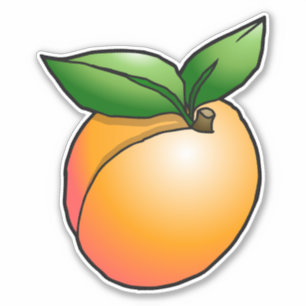 Apricot Vinyl Anpassad Klistermärke Klistermärken