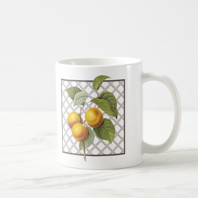 APRICOTS KAFFEMUGG (Höger)