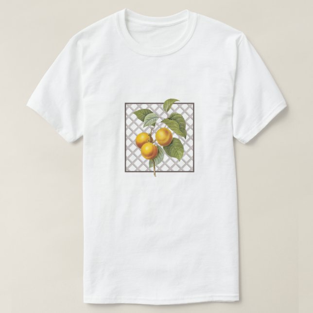 APRICOTS T SHIRT (Design framsida)
