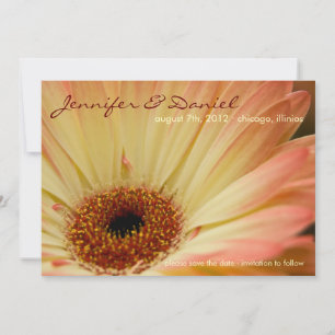 Aprikos Gerbera • Spara datum-anmälan Datumet