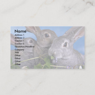 Aprikos och Blue Rex Rabbit Visitkort