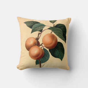 Aprikoser Botanical Illustration Kudde