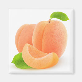 Aprikoser Magnet