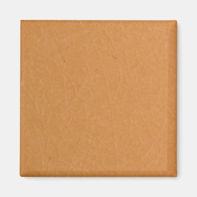 Aprikossprickor Magnet (Framsidan)