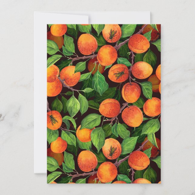 Aprikosträdgård 1 (Framsida)