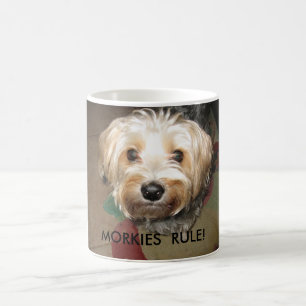 APRIL 14. HÄRSKAR 2008 043, MORKIES! KAFFEMUGG