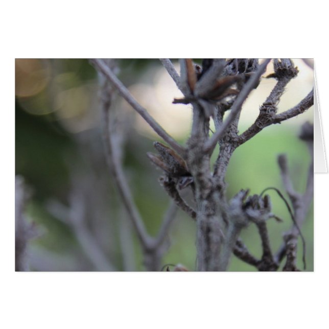 April 30 Sommarklockor Hälsningskort (Framsidan Horizontal)