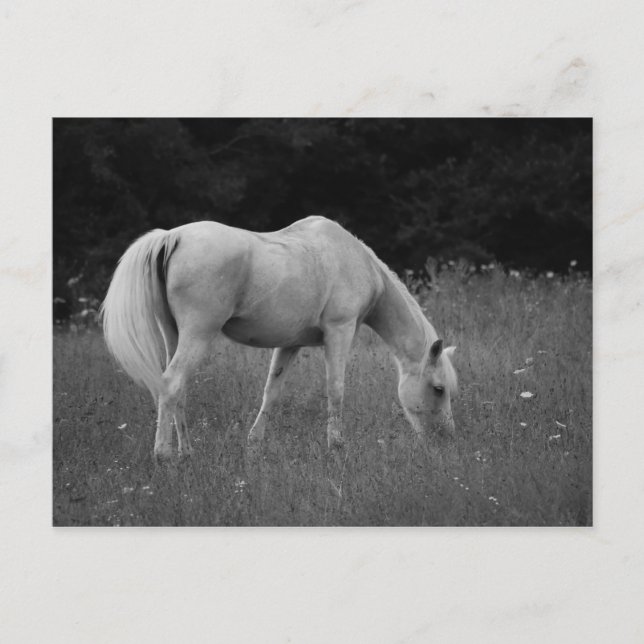 April araben vykort (Framsida)