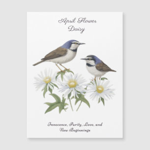 April Birkelmånad Flower Daisy Cherborn Birthday