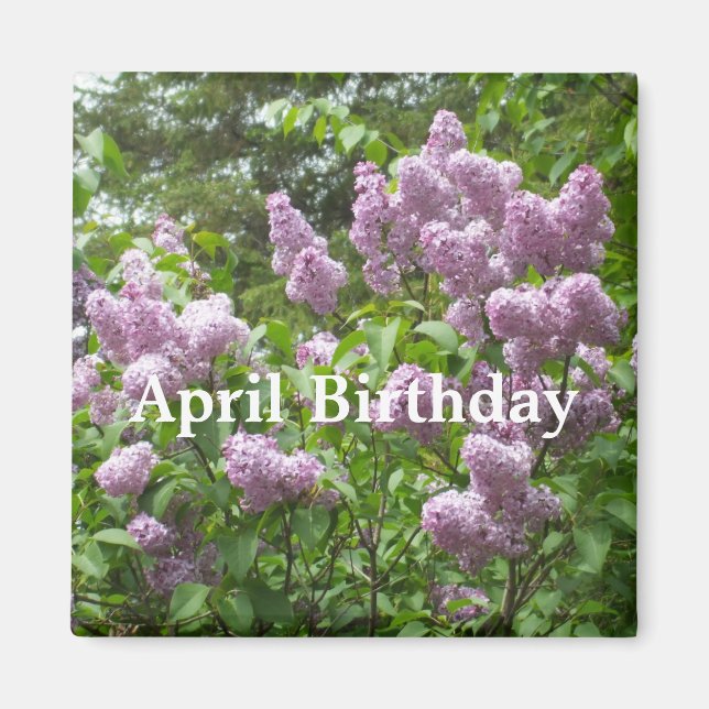 April Birthday-Loely Lilac Bush Magnet (Framsidan)