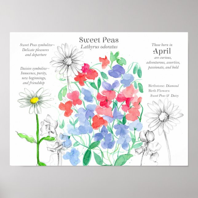 April Birthday Sweet Peas Daisy Birth Month Poster (Framsidan)