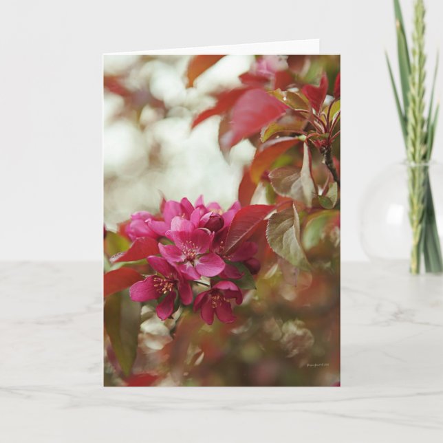 April-Blommarna - kort för tom hälsning (Framsida)