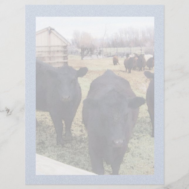 April Cattle (Framsida)