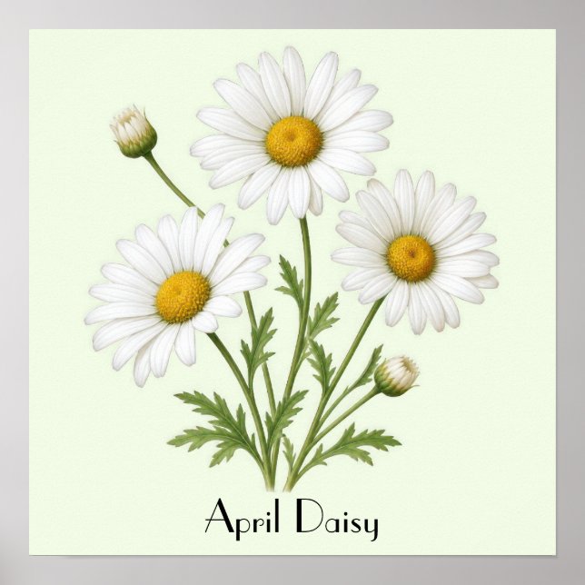 April Daisy Flowers Poster (Framsidan)