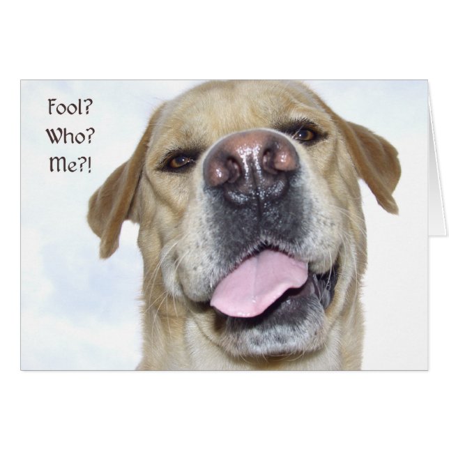 April-galningens dag hälsningskort (Framsidan Horizontal)