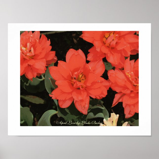 April Kärlek av Linda Becker Poster (Framsidan)