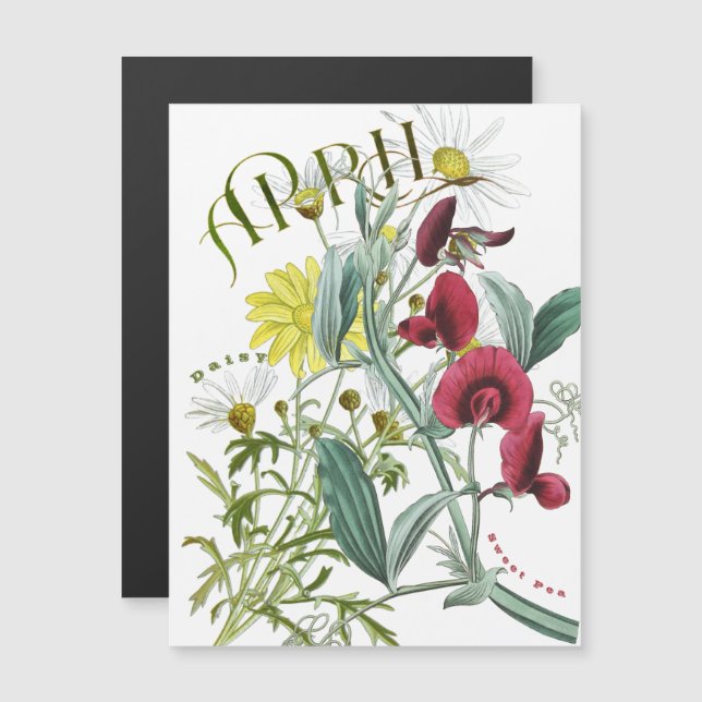 April Month Flowers Sweet Pea Daisy Fancy (Fram/baksida)