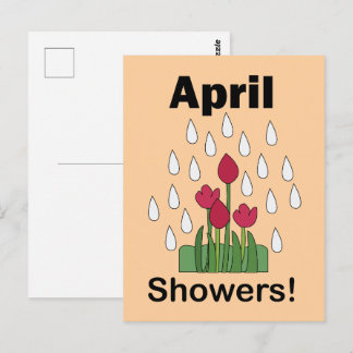 April Showers Pink Daisy Flower Floral Vykort