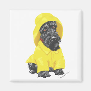 April Showers Skotsk Terrier Magnet
