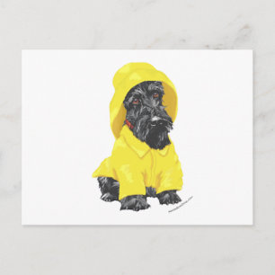 April Showers skotsk terrier Vykort