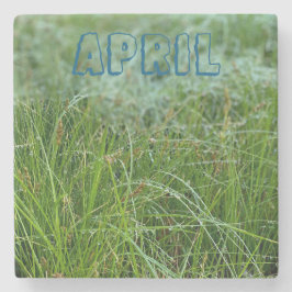 April Stenunderlägg