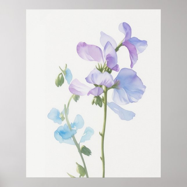 April Sweet Pea Birth Flower Poster (Framsidan)
