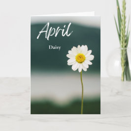 April White Daisy Birth Month Flower Birthday Kort