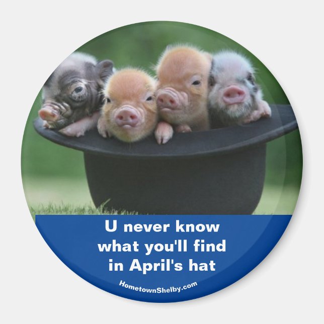 April's hat magnet (Framsidan)