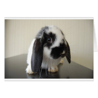 Apron för rättvisa hälsningskort